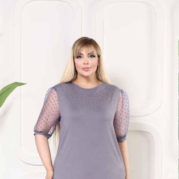 Picture of CUVY GIRL TOP WTH CHIFFON SLEEVE AND SPARKLE